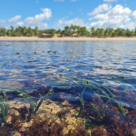Laus Bangalos Experience - Piscina Privativa - Praia De Algodoes - Peninsula De Marau - Bahia Praia dos Algodoes Buitenkant foto